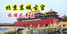 嗯啊啊喷水痉挛小淫穴爽死了中国北京-东城古宫旅游风景区